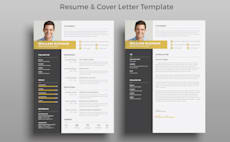 24 best resume template