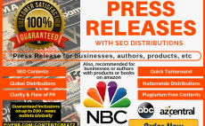 Online press release writing service