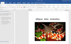 Online sinhala typing jobs