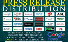 Online press release writing service