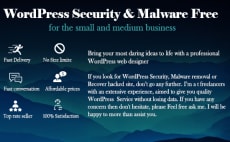 i will clean malware virus or malicious on wordpress - fortnite python cheat undetected