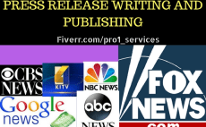 Online press release writing service