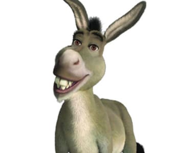 impersonate-donkey-from-shrek.jpg