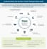 Design professional infographics, flowcharts, pie charts and diagrams ...