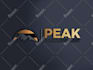 create a professional minimalist business logo design
