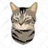 draw your pet into a cartoon vector simple in 24 hours