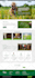 design or redesign wordpress business website