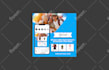 design instagram post and stories for your business