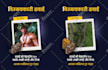 translate between hindi, english, and marathi
