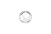 draw your pet animal in line art, one line art, line art icon illustration logo