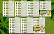 do professional flyer brochure and price catalogue design