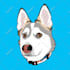 draw a caricature cartoon portrait from your photo