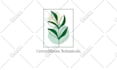 design hand drawn feminine, botanical and mystical logo