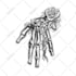 hand draw your amazing custom tattoo design