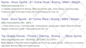 do monthly technical SEO website optimization