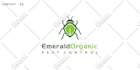design a modern, professional logo for business or brand