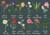 make any digital watercolor floral and greenery illustration