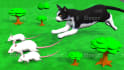 create 3d animation stories with humans and animals