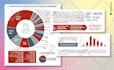 design attractive and professional infographics for your presentation