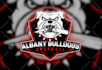 do stunning cartoon mascot sports team logo and sports event