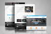 do wordpress website design and development or business website redesign