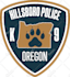 design police, security, law enforcement patches and badges