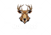 design animal, mascot logo, wolf, tiger, eagle, bear, fox