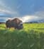 do photoshop editing combining and merging 2 or more photos