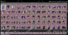 cull your wedding, event, portrait batch photos in lightroom