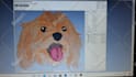 do vector or vector tracing in 1 day
