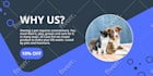 design anything in canva and provide editable template