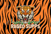 design animal, mascot logo, wolf, tiger, eagle, bear, fox