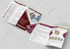 design corporate business medical brochure trifold catalog flyer