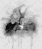 combine and composite photos into one