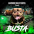 design premium dog stud, breeding, litter or kennel flyers
