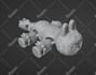 sculpt 3d model, character or stl file for 3d printing or rendering