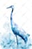 do realistic digital watercolor illustrations