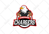 design animal, mascot logo, wolf, tiger, eagle, bear, fox