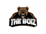 design animal, mascot logo, wolf, tiger, eagle, bear, fox