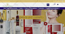 build e commerce web site design and development