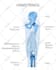 create scientific illustrations for your next project