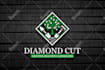 design fascinate, professional and unique business logo