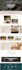 design a professional wordpress website or web design