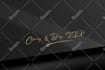 design a luxury handwritten signature logo for your business