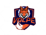 design animal, mascot logo, wolf, tiger, eagle, bear, fox