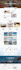 design wordpress website with elementor pro