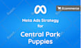 provide meta instagram facebook ads strategy consulting