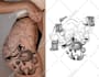 create professional custom tattoo design, tattoo sleeve