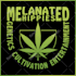 do cannabis marijuana or weed logo design