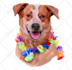 create a stunning vector pet illustration from your photo